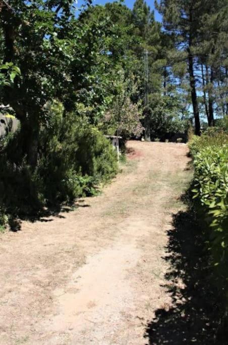 Appartement Tout Equipe En Rez-De-Jardin Entre Gard Et Ardeche Saint-Julien-de-Peyrolas Kültér fotó